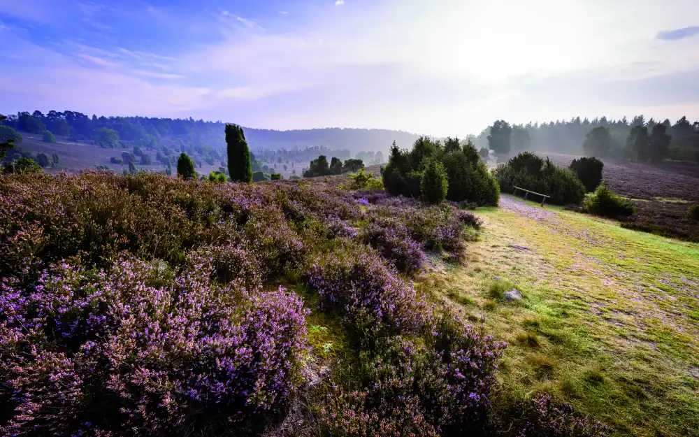 Paarberatung und Sexualberatung in Lüneburger Heide