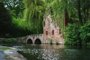 Paarberatung, Sexualberatung, Paartherapie, Sexualtherapie in der Stadt Aschaffenburg