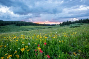 Paarberatung, Sexualberatung, Paartherapie, Sexualtherapie in der Stadt Aying